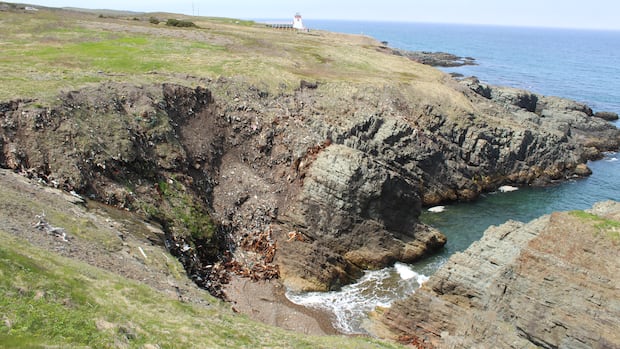 Fortune ecological reserve is home to a former dump, and this volunteer group wants it cleaned up